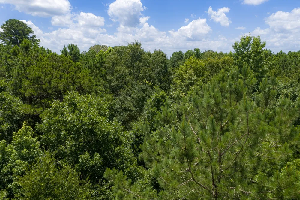 County Road 3154 De Berry, TX 75639