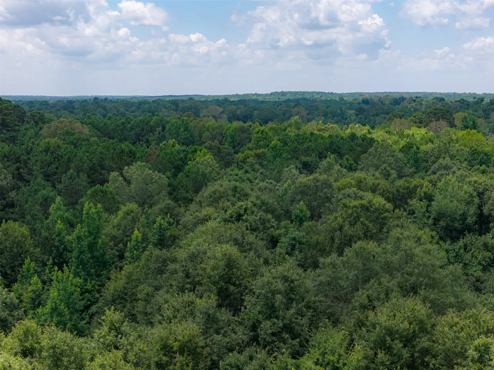County Road 3154 De Berry, TX 75639