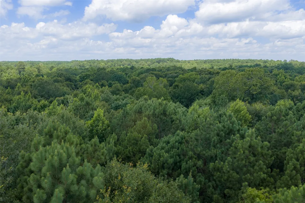 County Road 3154 De Berry, TX 75639