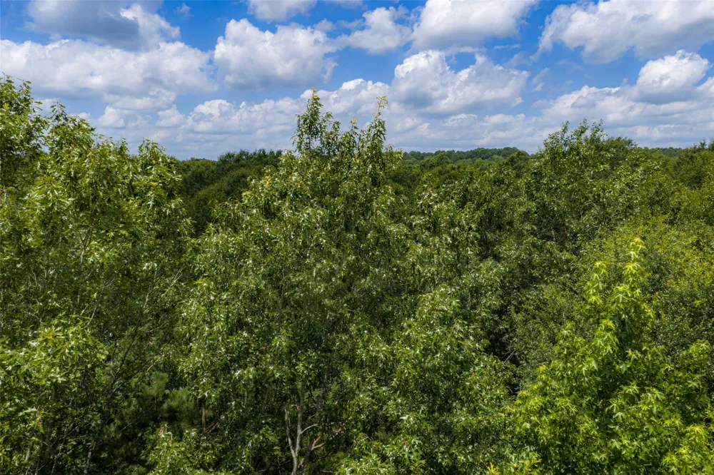 County Road 3154 De Berry, TX 75639