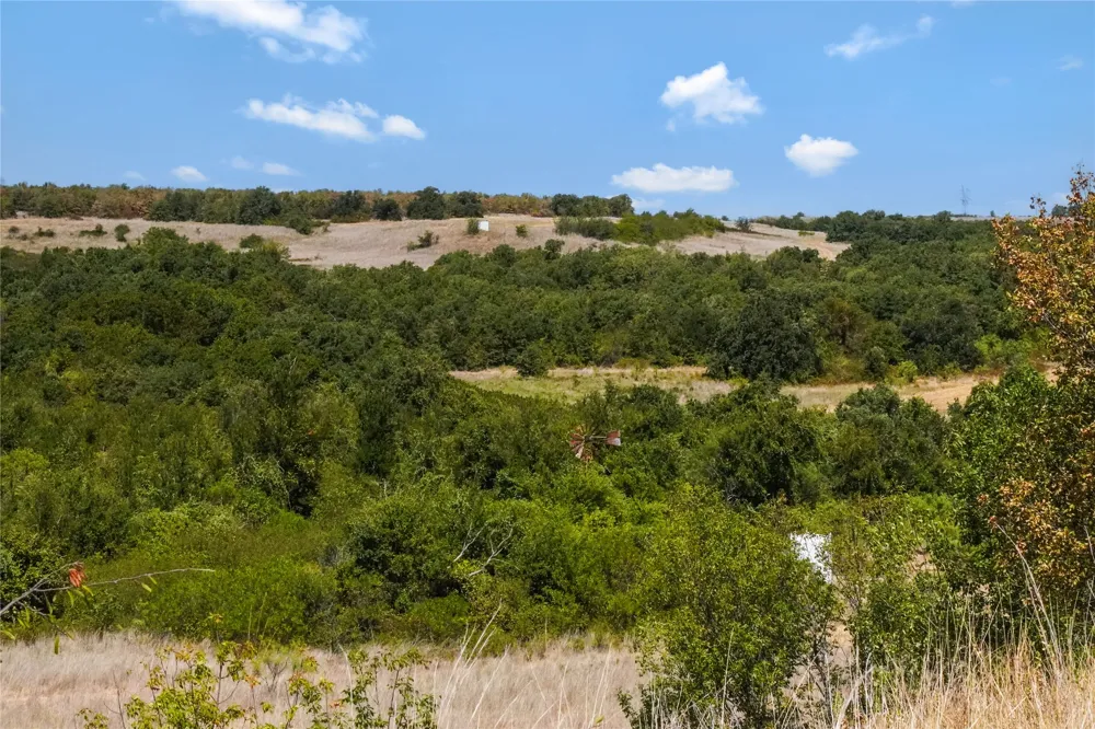 Two Bush Road Road Perrin, TX 76486