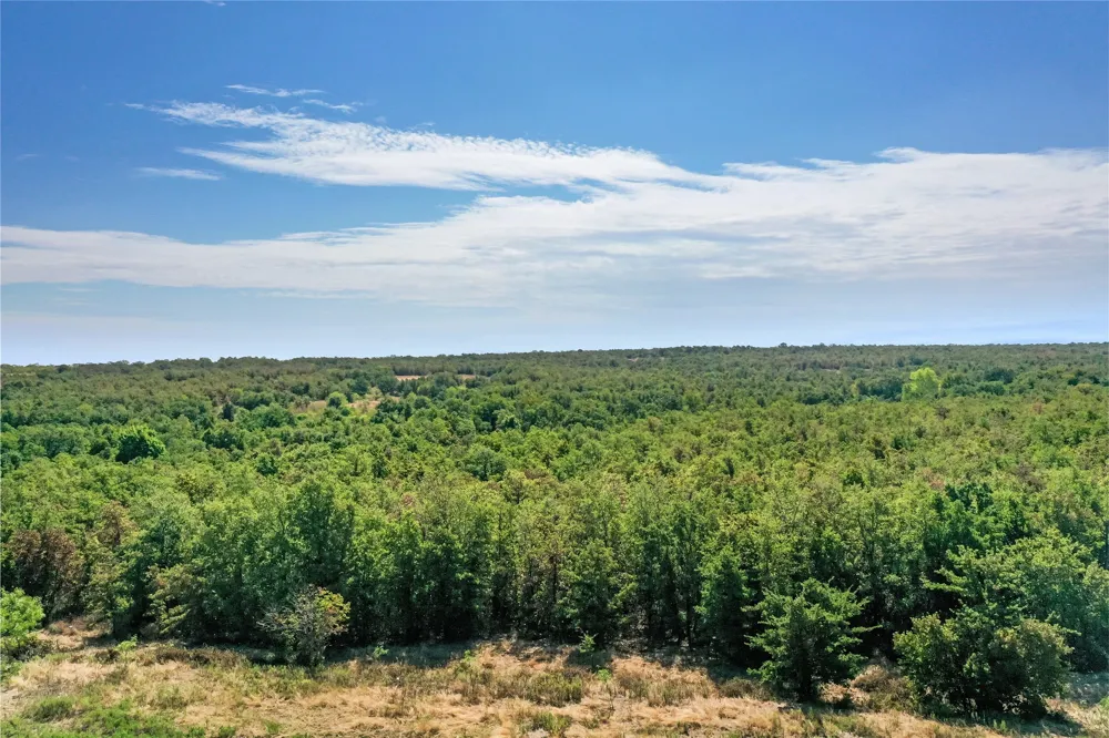 Two Bush Road Road Perrin, TX 76486