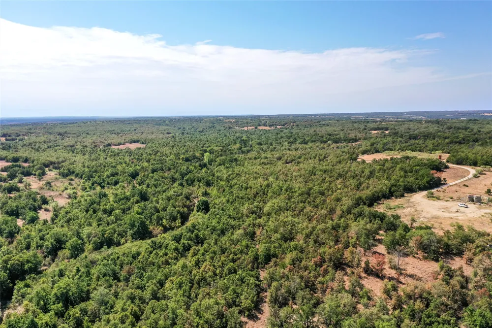 Two Bush Road Road Perrin, TX 76486