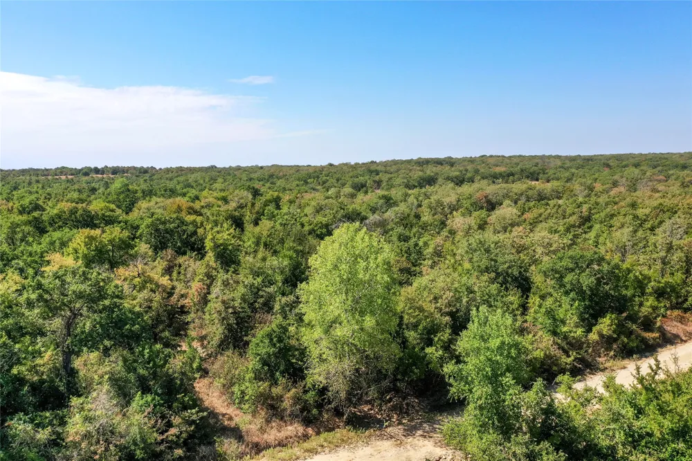 Two Bush Road Road Perrin, TX 76486