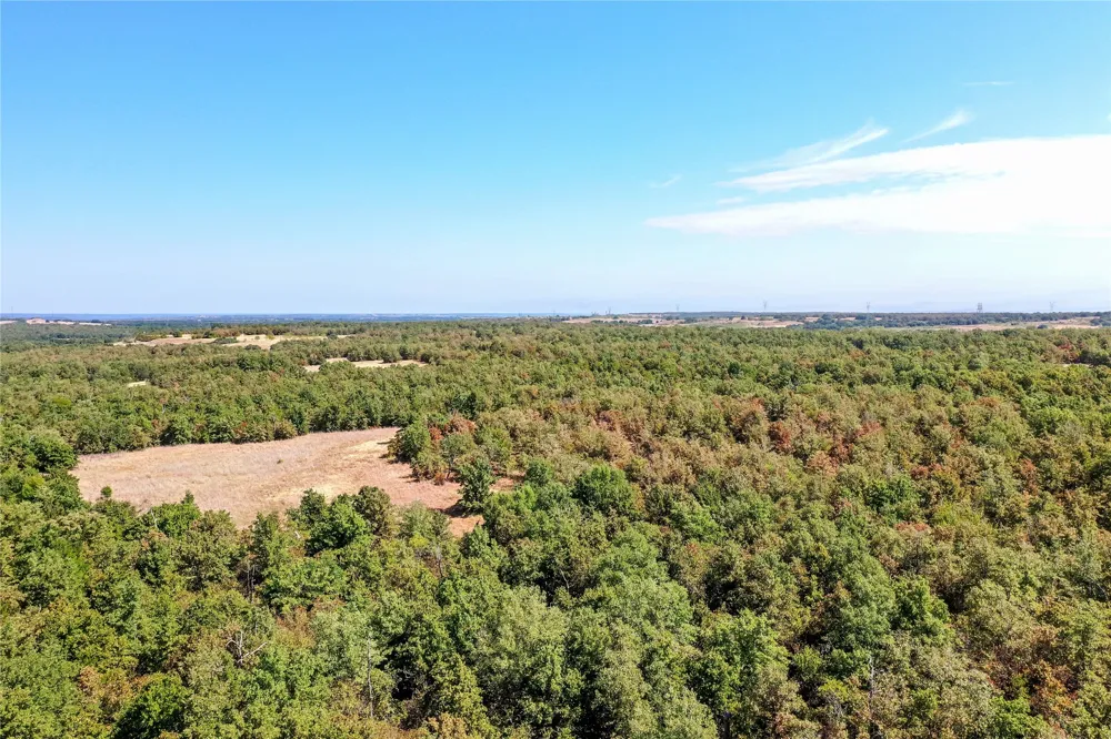 Two Bush Road Road Perrin, TX 76486