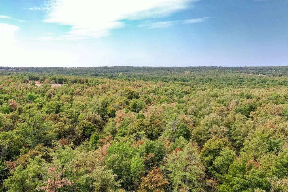 Two Bush Road Road Perrin, TX 76486