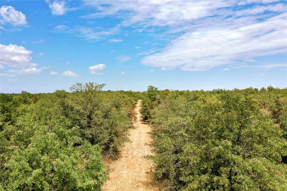Two Bush Road Road Perrin, TX 76486