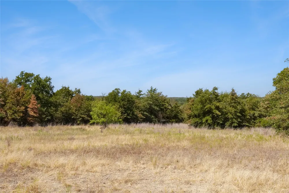 Two Bush Road Road Perrin, TX 76486