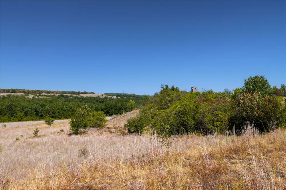 Two Bush Road Road Perrin, TX 76486