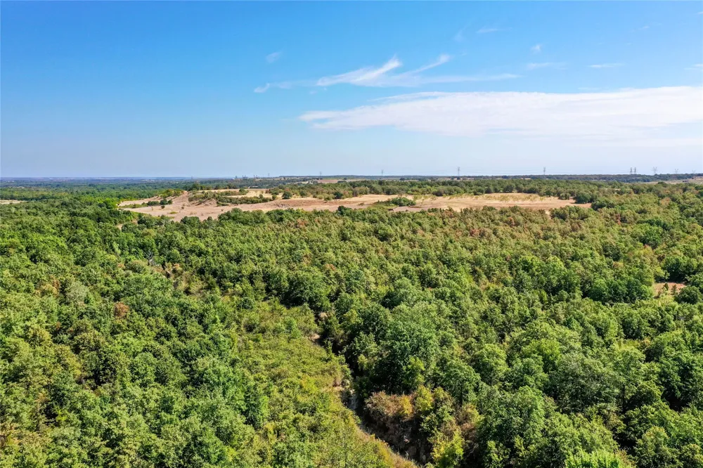 Two Bush Road Road Perrin, TX 76486