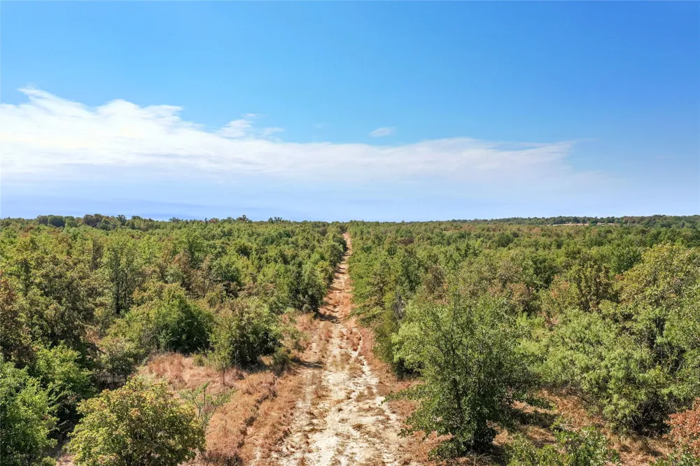 Two Bush Road Road Perrin, TX 76486