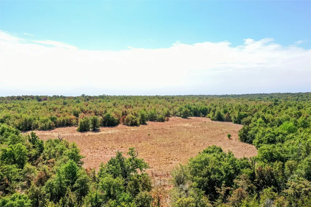 Two Bush Road Road Perrin, TX 76486