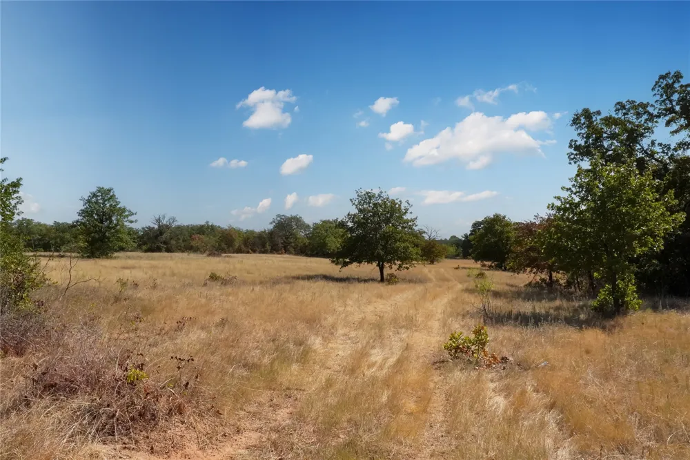 Two Bush Road Road Perrin, TX 76486