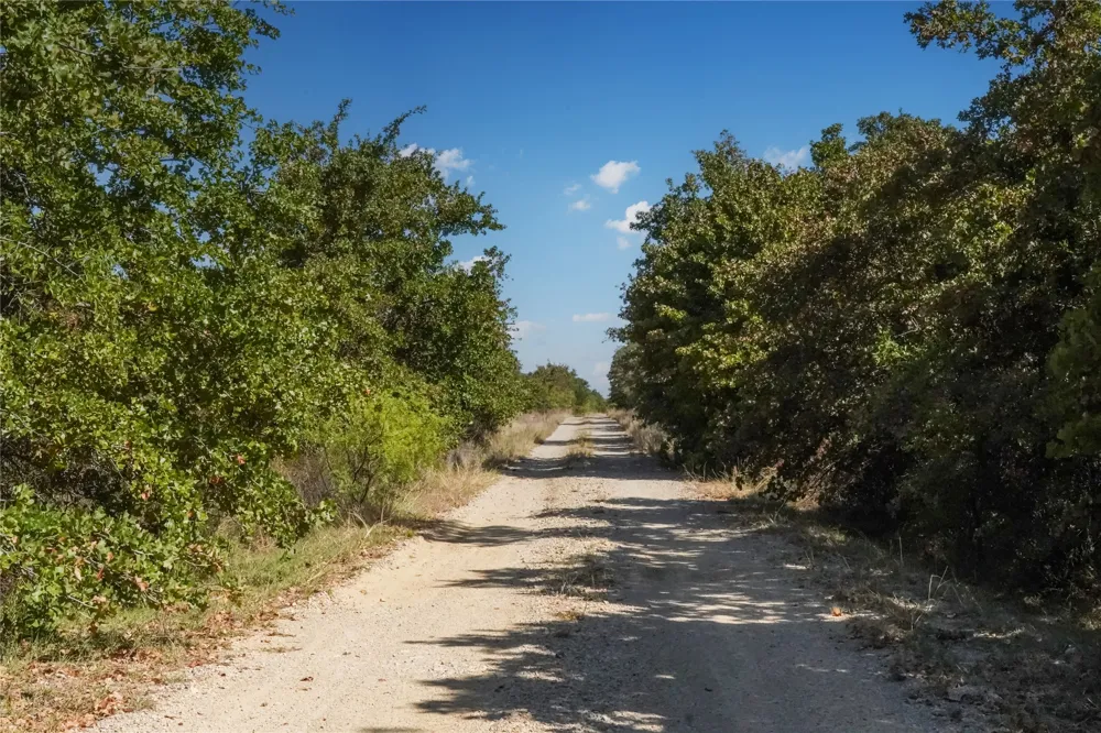 Two Bush Road Road Perrin, TX 76486