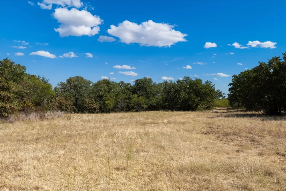 Two Bush Road Road Perrin, TX 76486