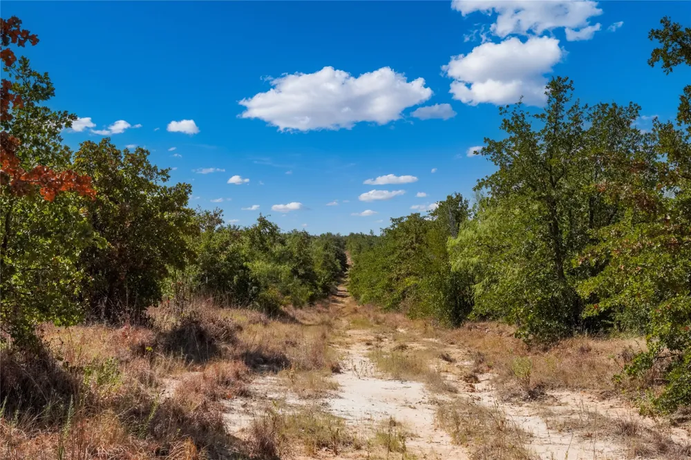 Two Bush Road Road Perrin, TX 76486