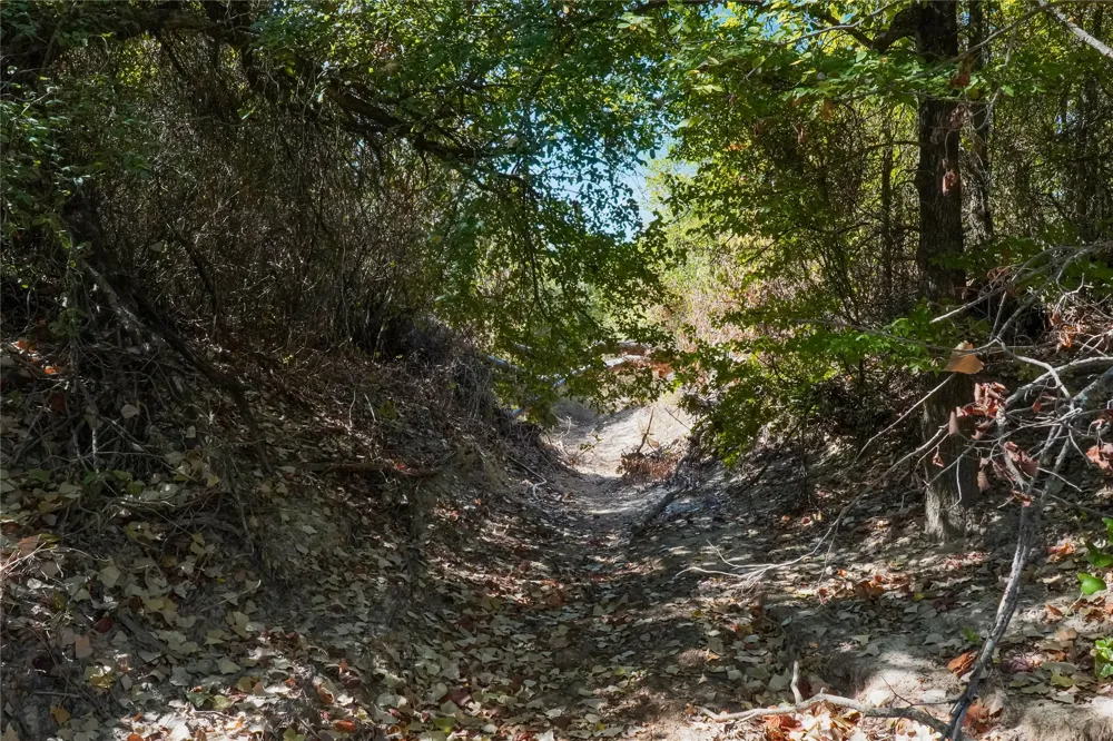 Two Bush Road Road Perrin, TX 76486