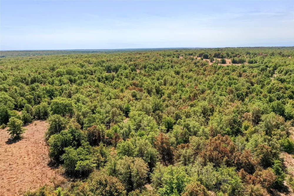 Two Bush Road Road Perrin, TX 76486