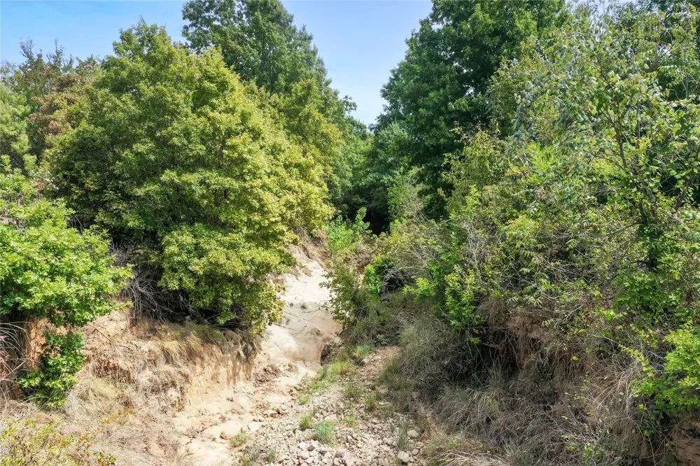 Two Bush Road Road Perrin, TX 76486