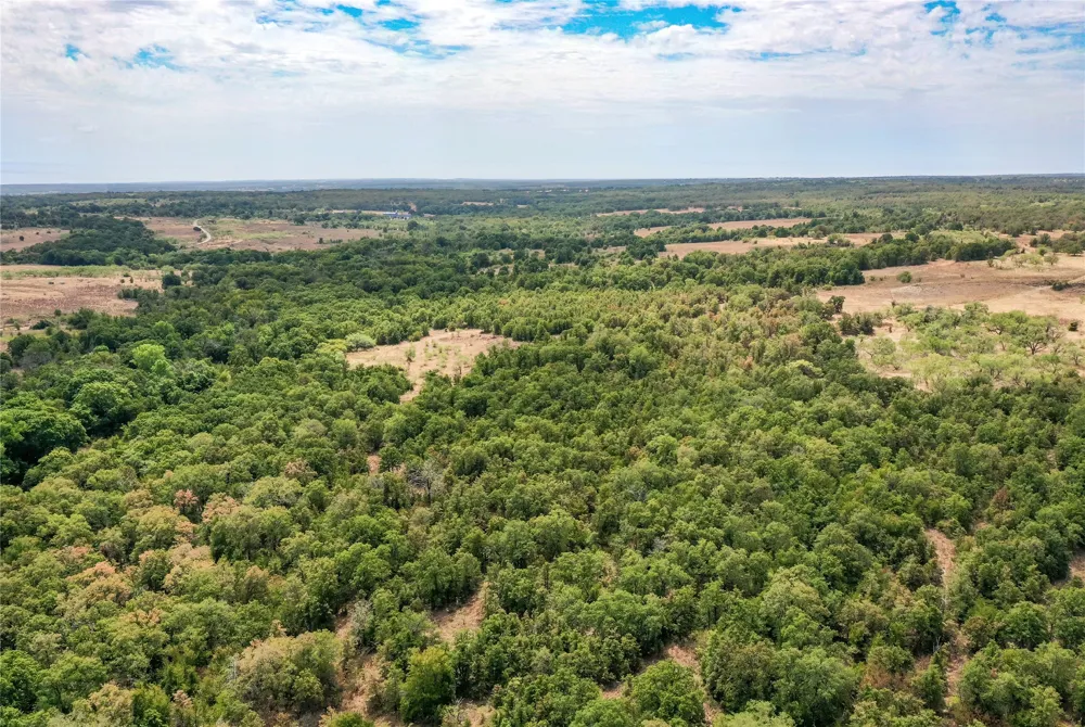 Two Bush Road Road Perrin, TX 76486
