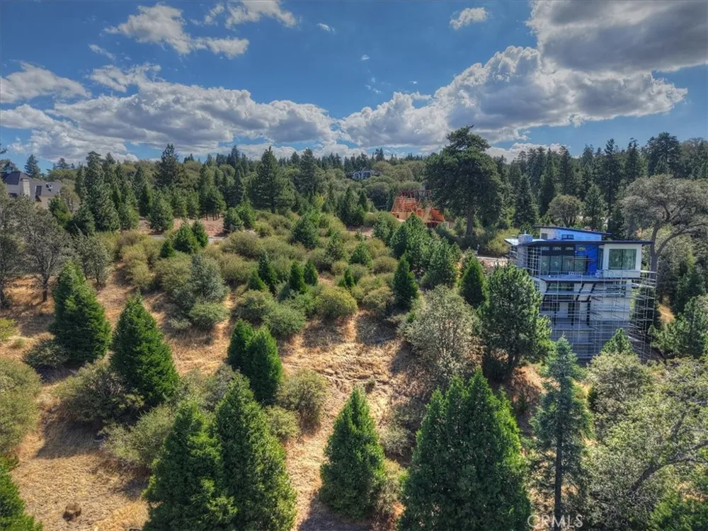202 Hidden Forest Lake Arrowhead, CA 92352