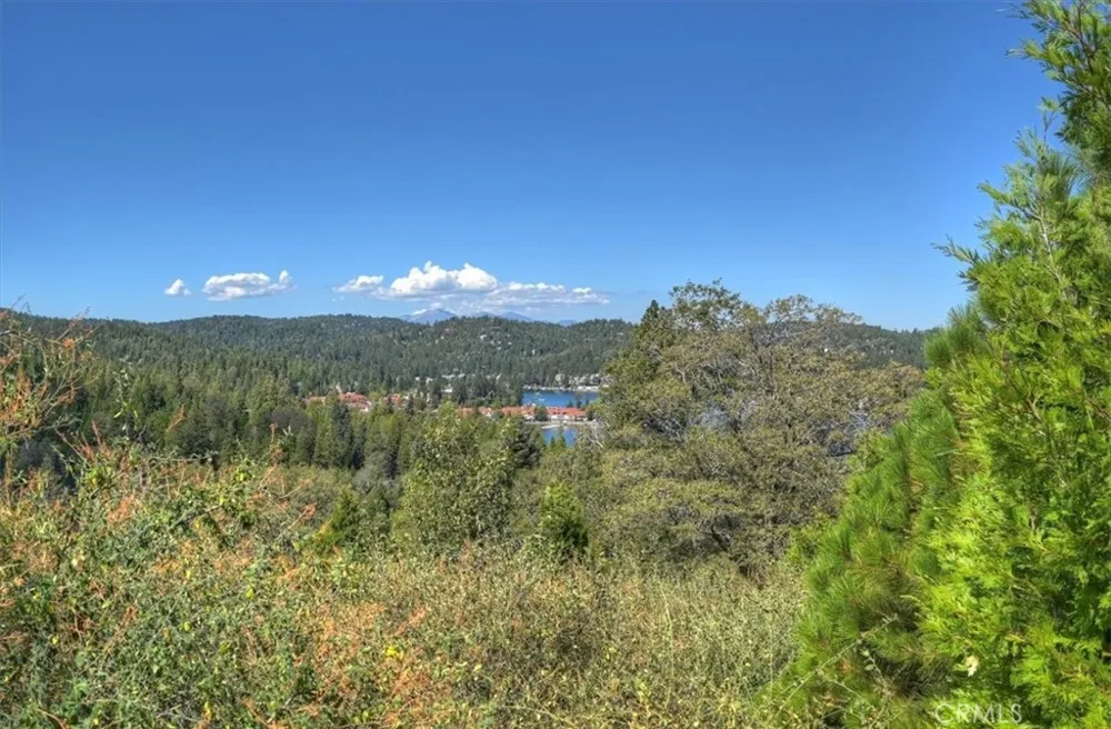 202 Hidden Forest Lake Arrowhead, CA 92352