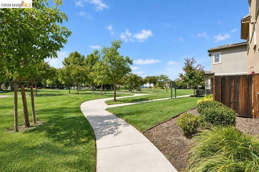806 Queen Palm Ln Brentwood, CA 94513
