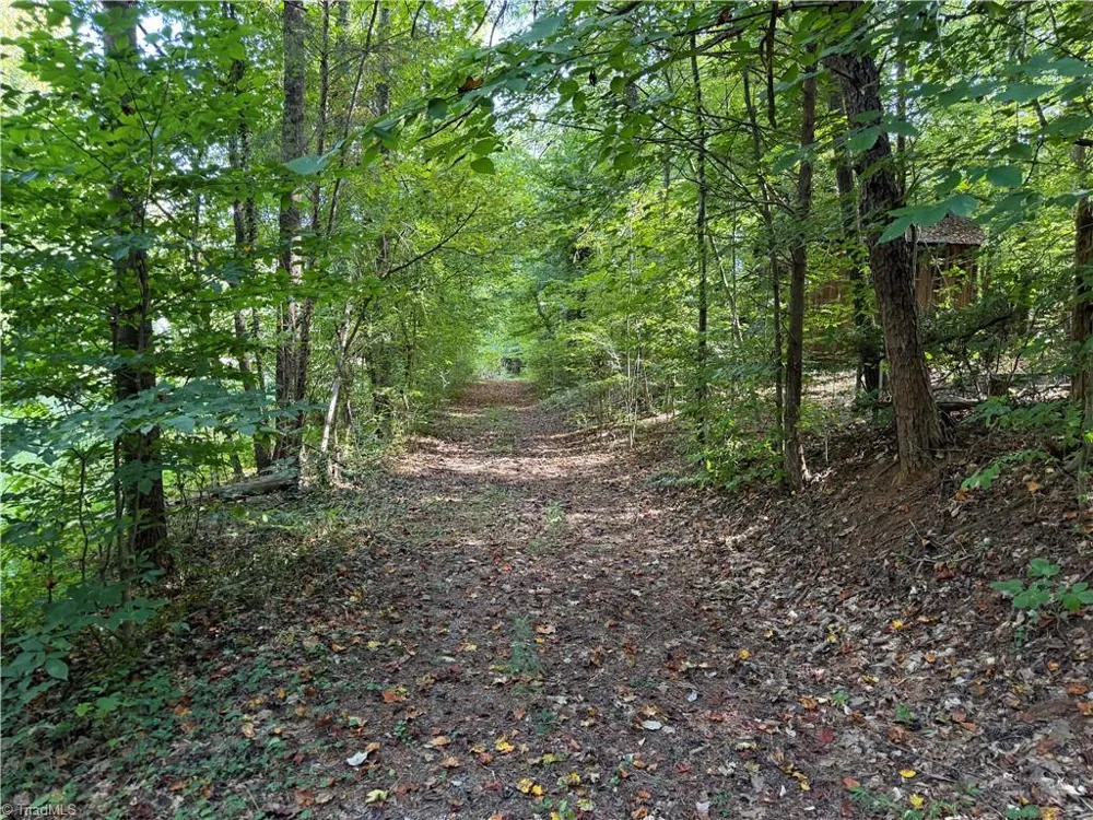 921 Tobaccoville Road Rural Hall, NC 27045