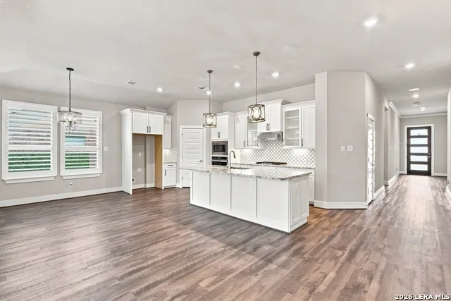 24203 Dante Circle San Antonio, TX 78261