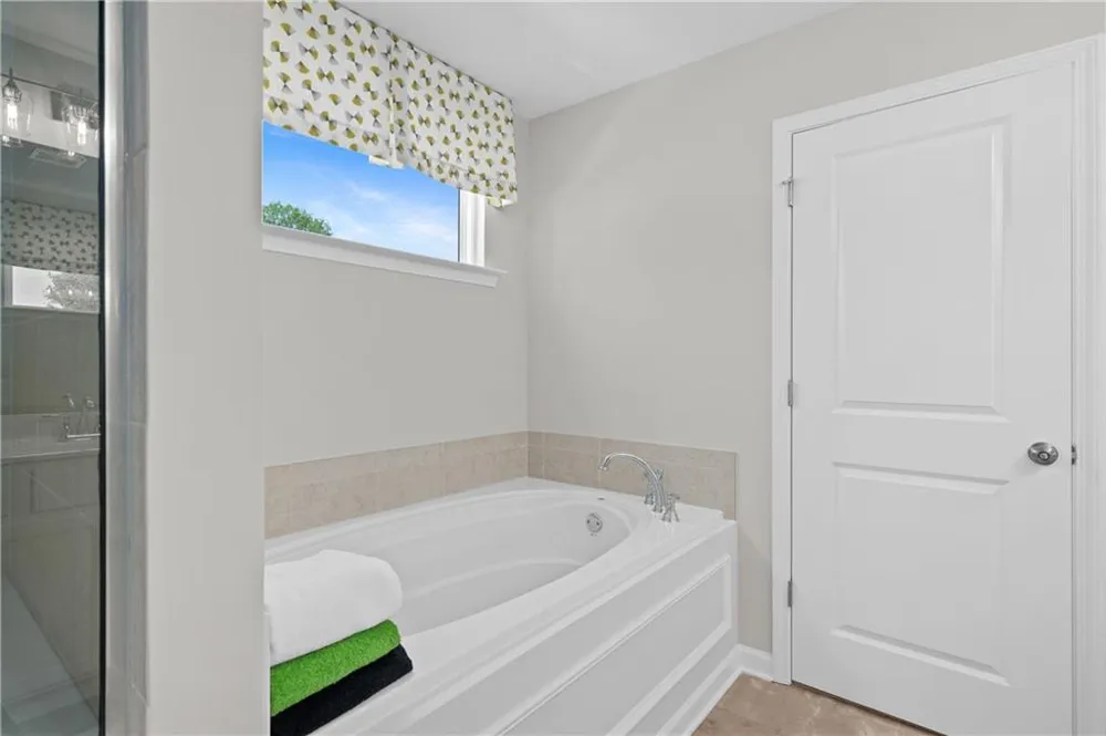 3382 Wild Clary (Lot 70) Court Buford, GA 30519