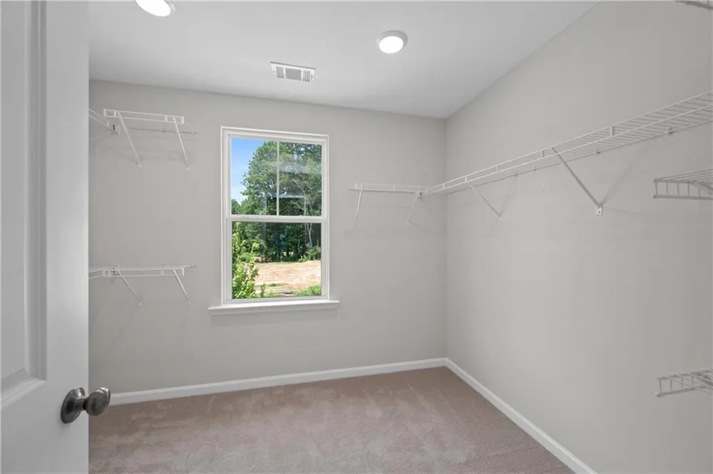 3382 Wild Clary (Lot 70) Court Buford, GA 30519