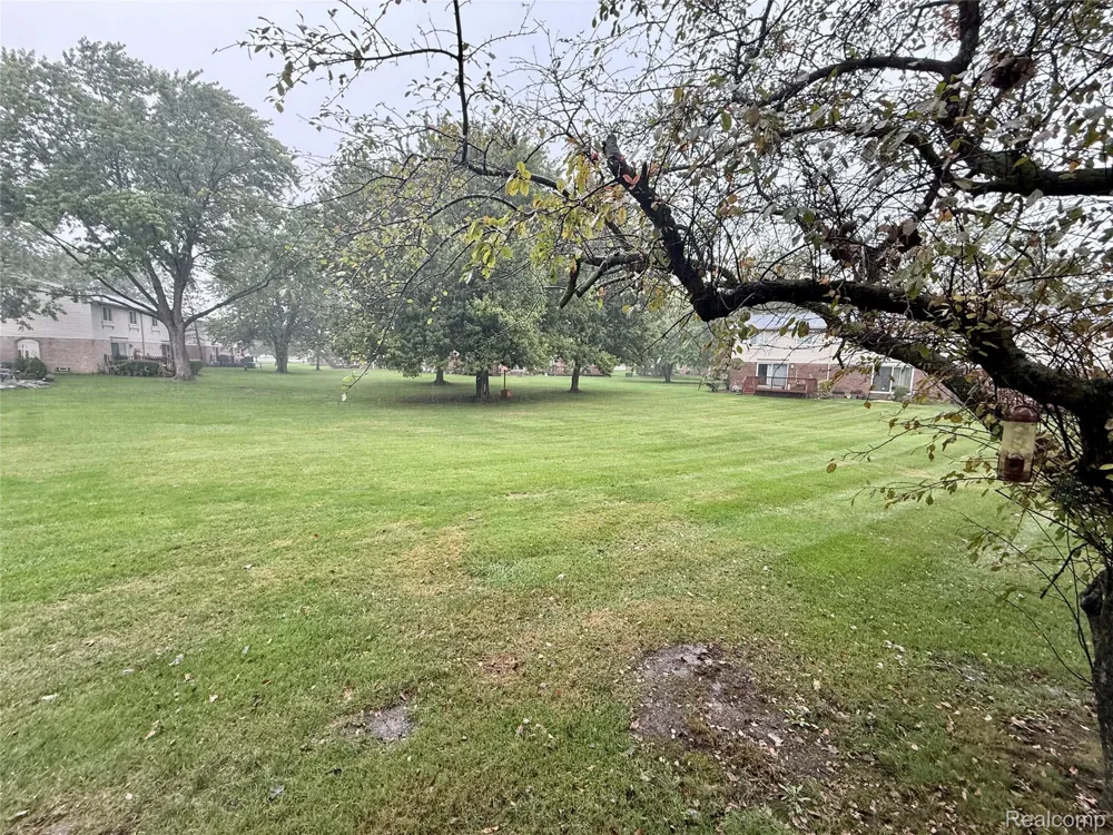 1920 Jan Court #29 Canton Charter Township, MI 48187