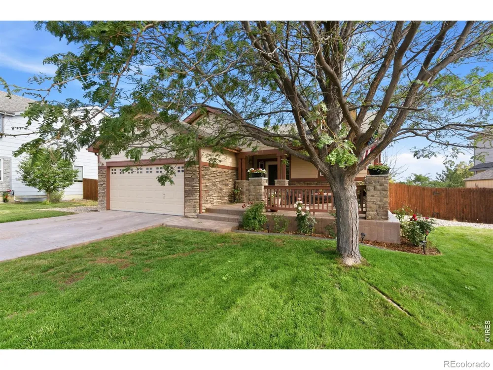 3405 Leopard Place Loveland, CO 80537