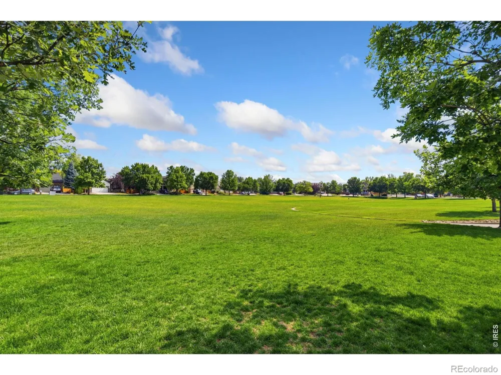 3405 Leopard Place Loveland, CO 80537