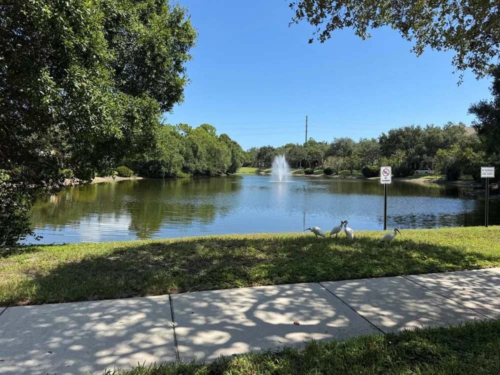 119 BLACK IRONWOOD ROAD #104 Jupiter, FL 33458