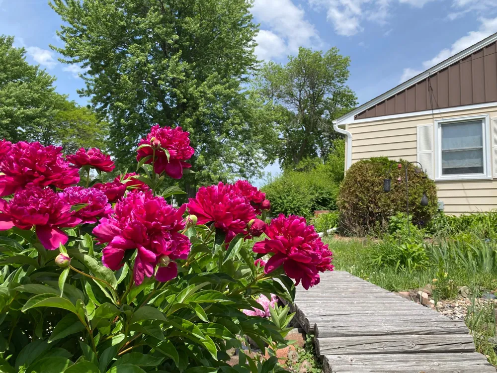 3004 Bellaire Avenue Maplewood, MN 55109