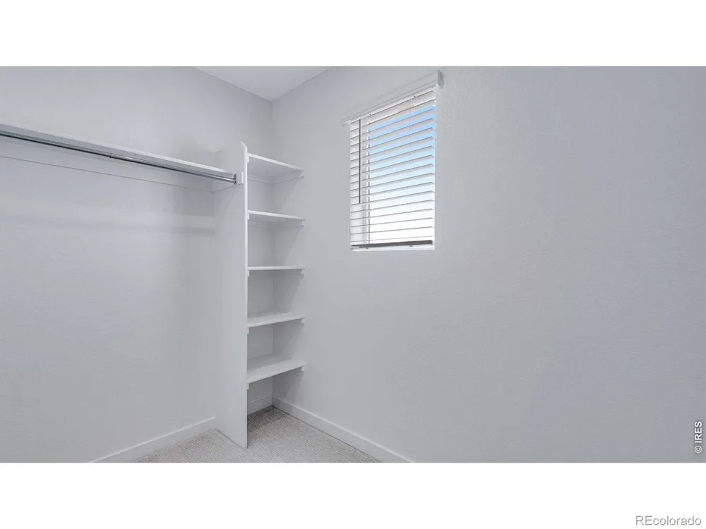 789 Bellow Road Windsor, CO 80550