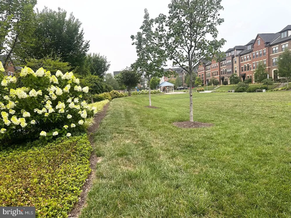 43451 CHARITABLE STREET Ashburn, VA 20148