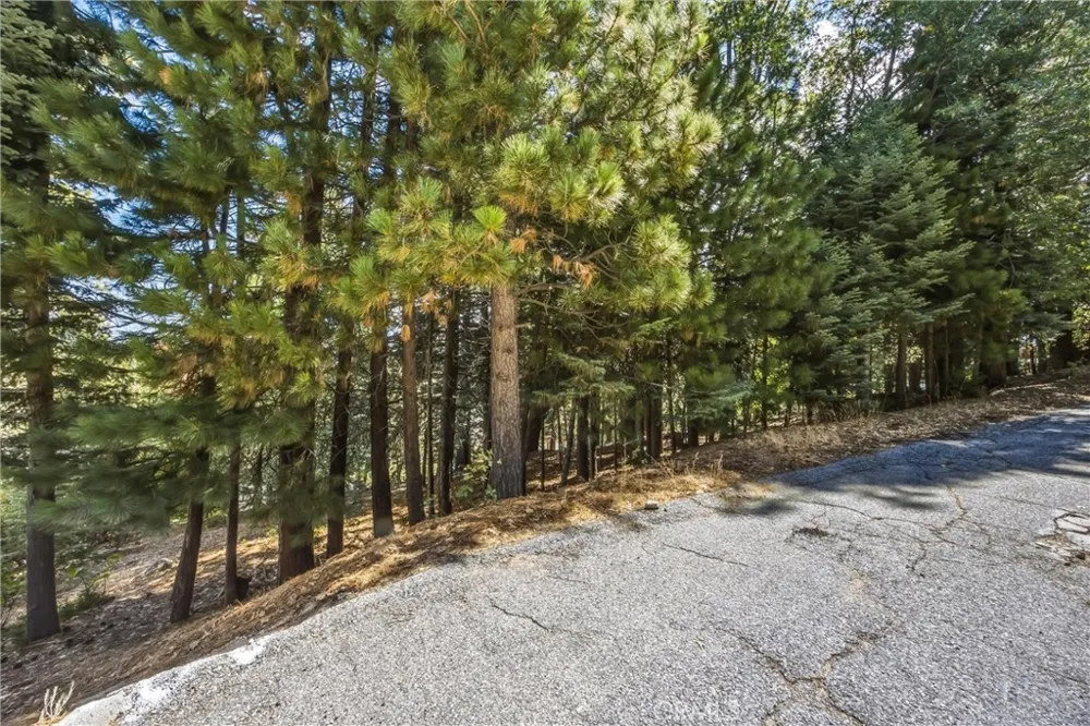 301 Fairway Lake Arrowhead, CA 92352