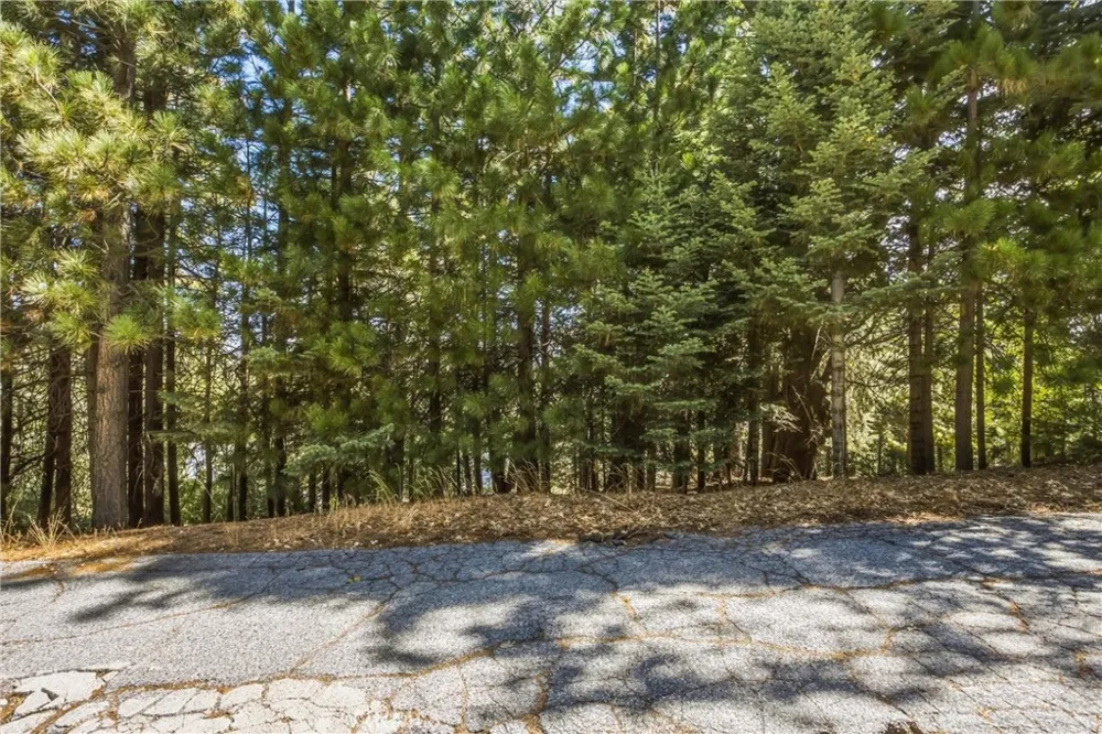 301 Fairway Lake Arrowhead, CA 92352