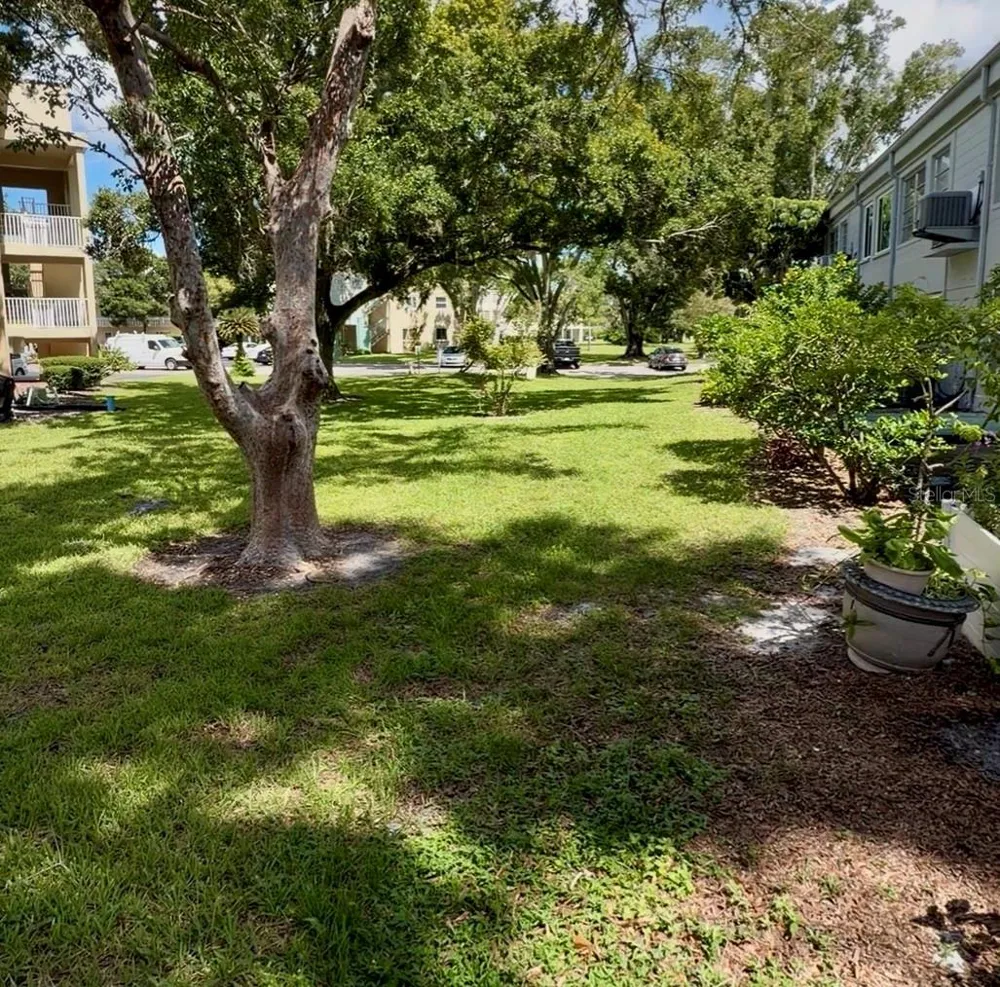 2100 WORLD PARKWAY BOULEVARD #20 Clearwater, FL 33763