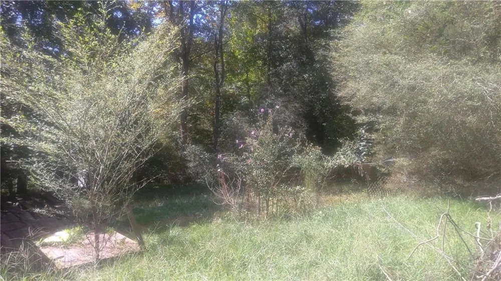 110 Mountainside Drive Dawsonville, GA 30534