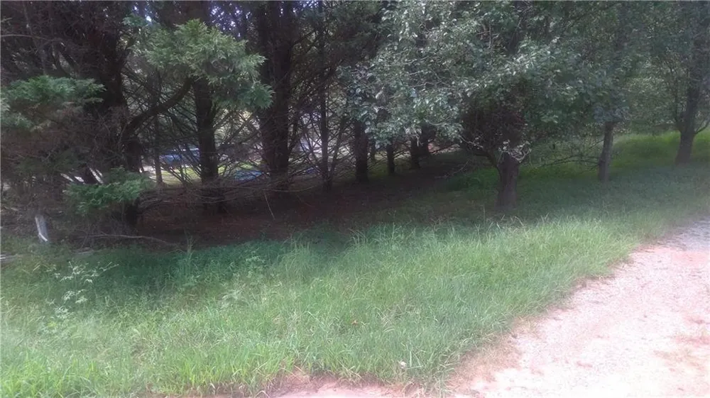 110 Mountainside Drive Dawsonville, GA 30534