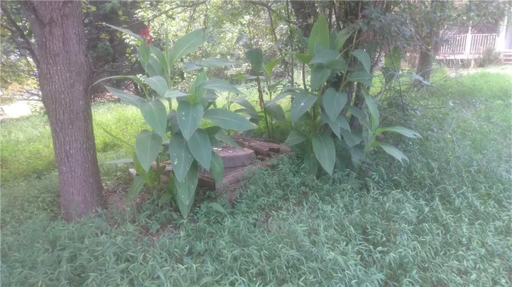 110 Mountainside Drive Dawsonville, GA 30534