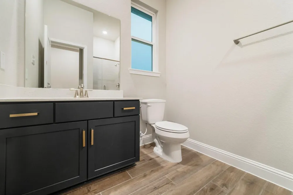 24106 Prairie Crabapple Court Katy, TX 77493