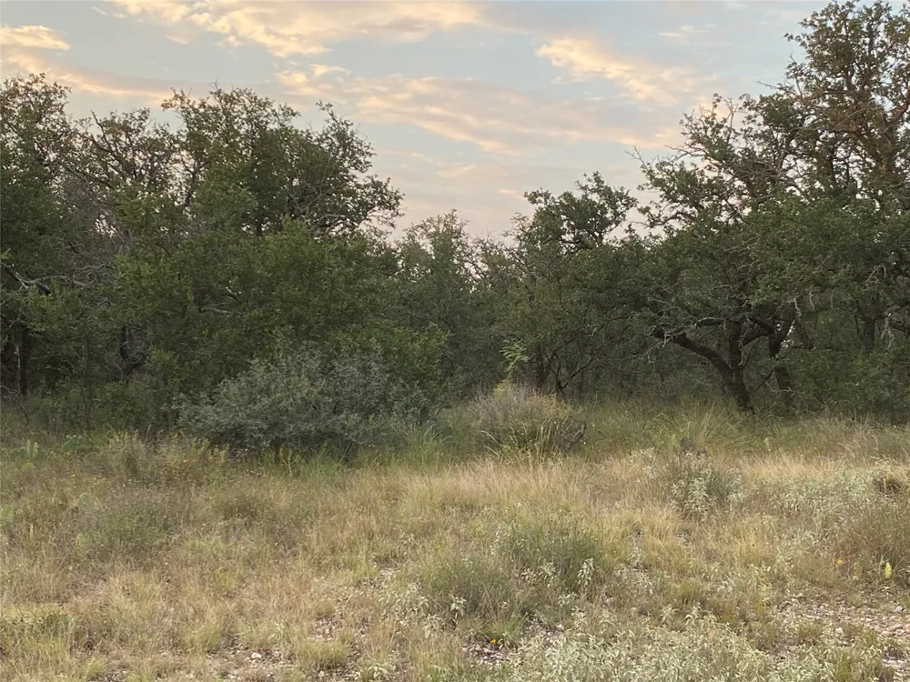 1 CR 296 Richland Springs, TX 76871