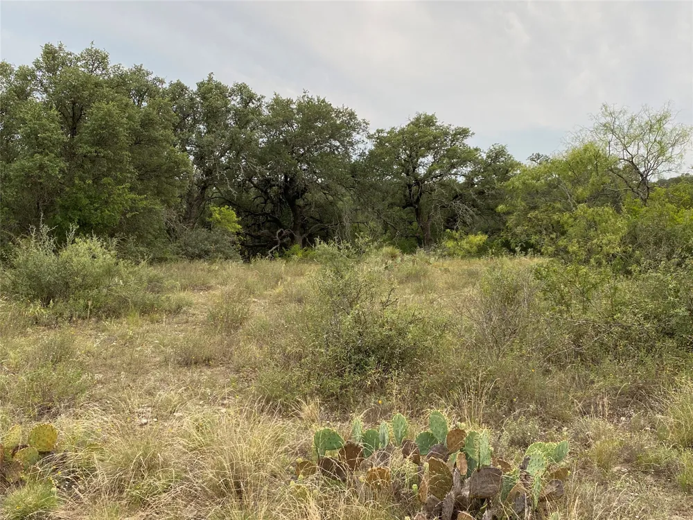 1 CR 296 Richland Springs, TX 76871