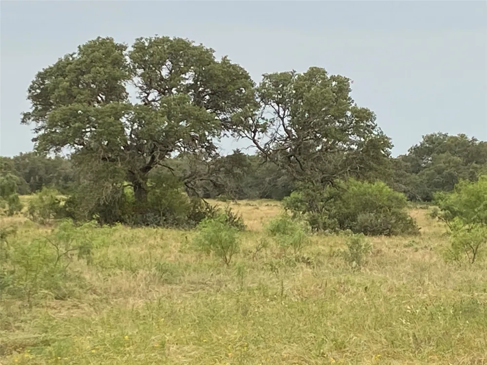 1 CR 296 Richland Springs, TX 76871