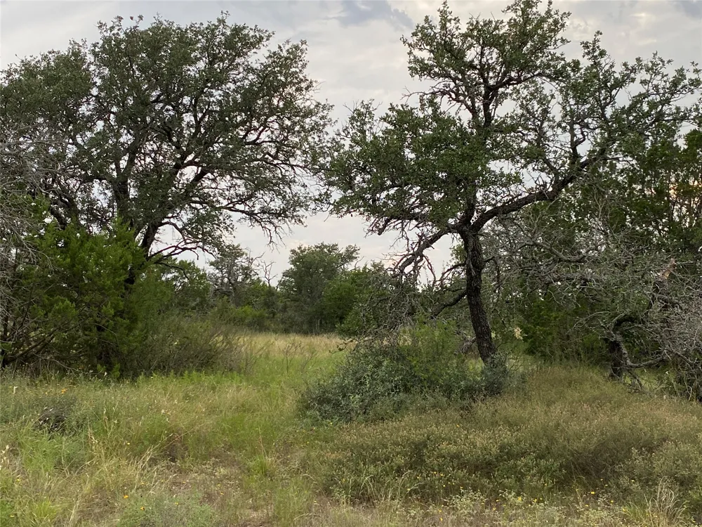 1 CR 296 Richland Springs, TX 76871