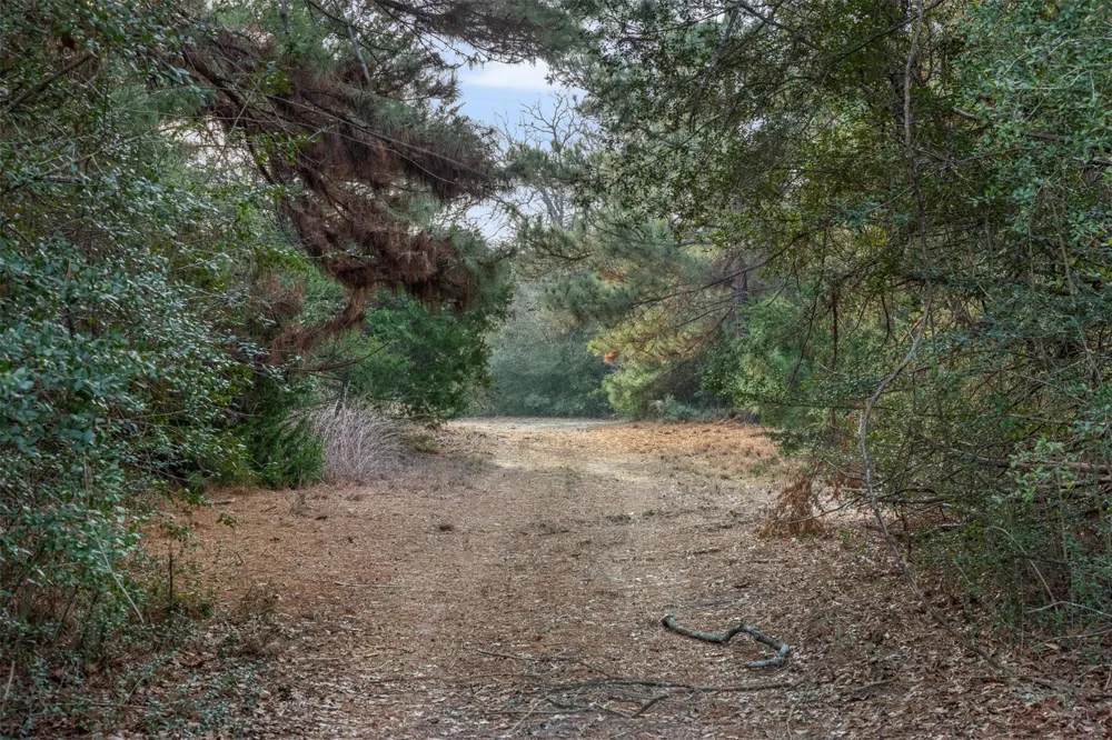 15147 County Road 499 Normangee, TX 77871